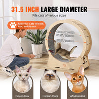 Cat Exercise Wheel – Indoor Cat Treadmill for Exercise & Play